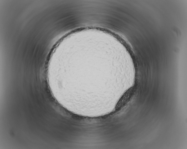 X0000113100879200910091137