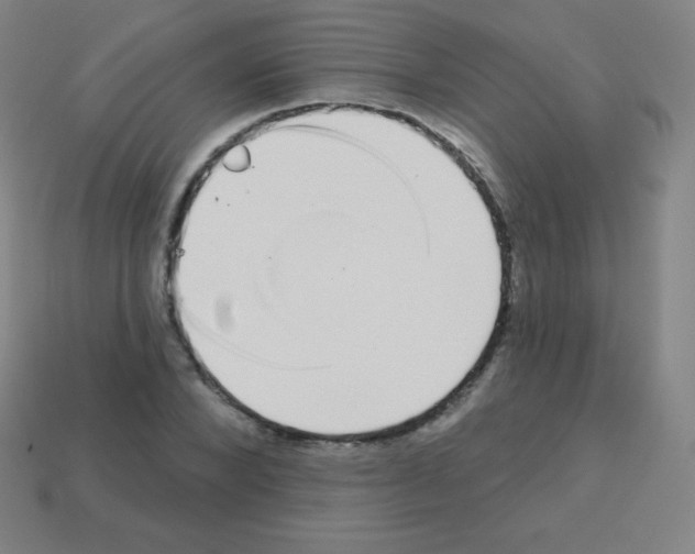 X0000113100880200910091137