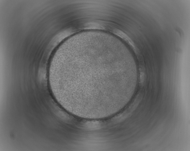 X0000113100882200910091137