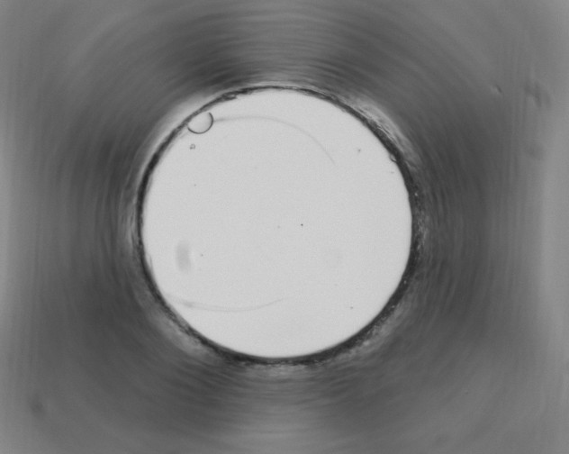 X0000113100884200910091137
