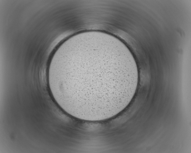 X0000113100886200910091137