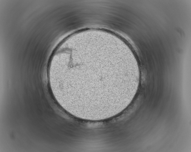 X0000113100887200910091137