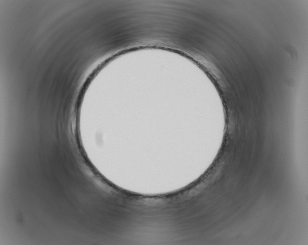 X0000113100888200910091137