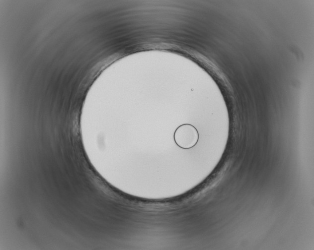X0000113100889200910091137