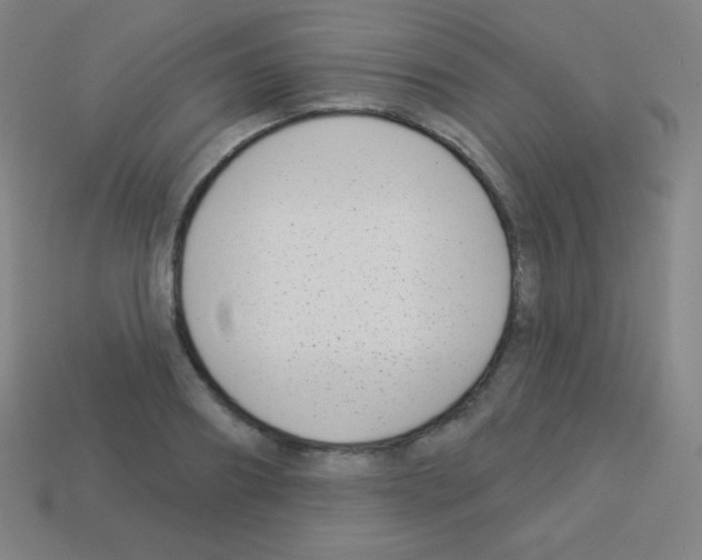 X0000113100890200910091137