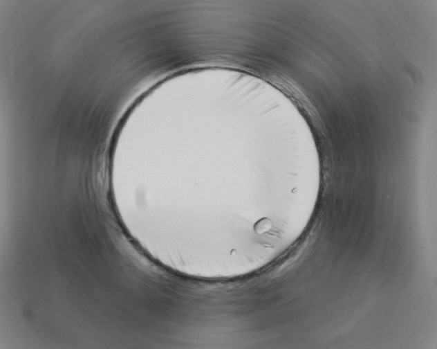 X0000113100892200910091137