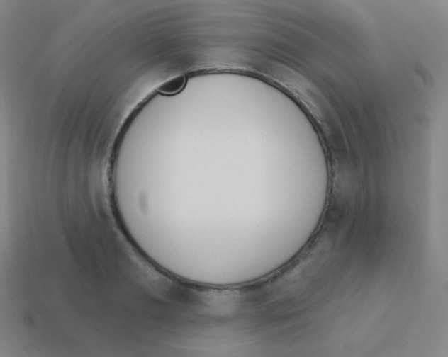 X0000113100893200910091137