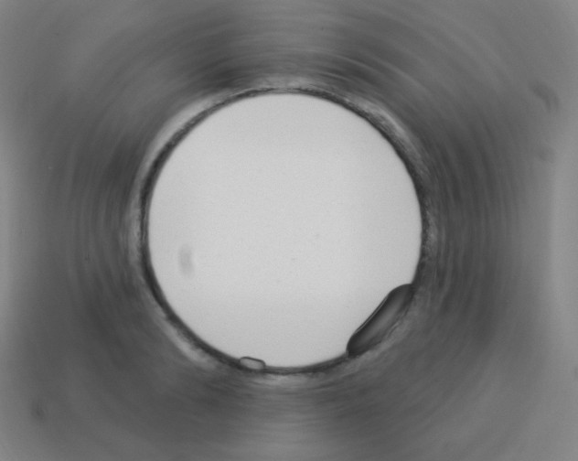 X0000113100894200910091137