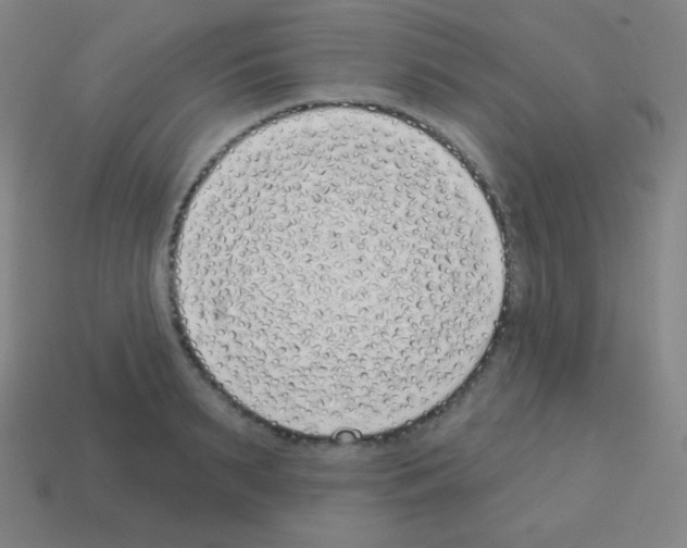 X0000113100895200910091137
