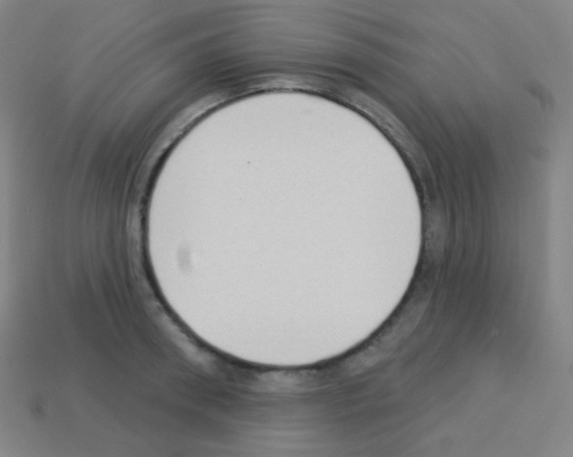 X0000113100898200910091137