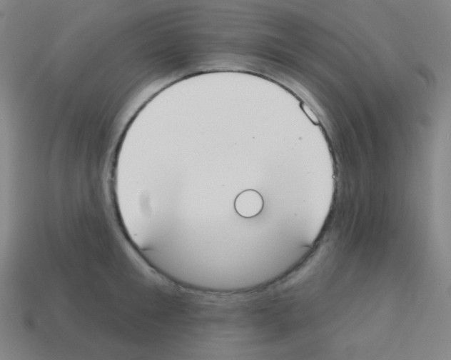 X0000113100901200910091137