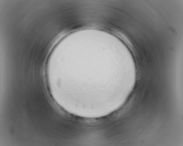 X0000113100907200910091137