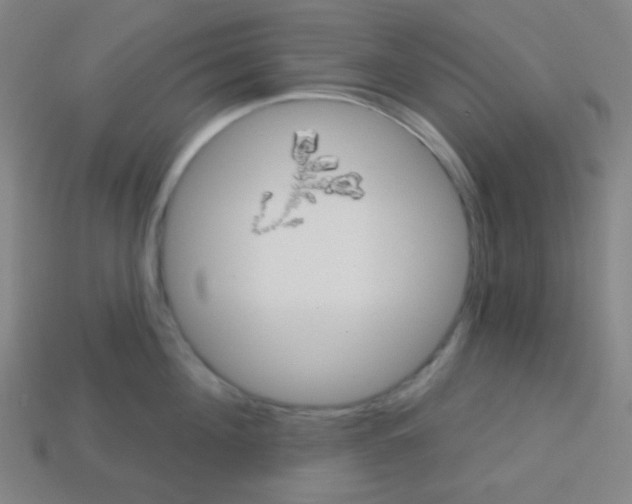 X0000113100908200910091137