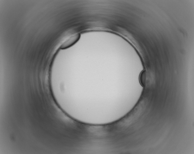 X0000113100909200910091137