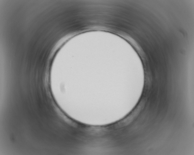 X0000113100910200910091137