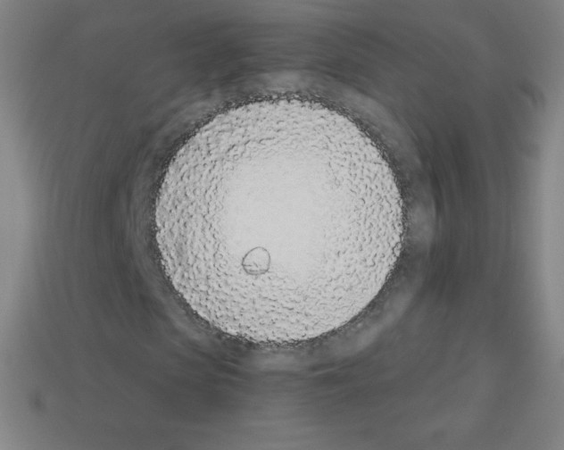X0000113100913200910091136