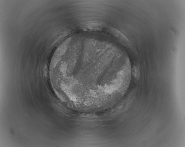 X0000113100915200910091136