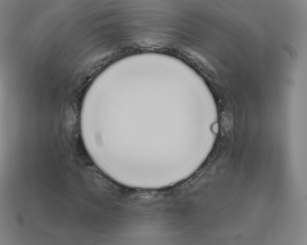 X0000113100917200910091136