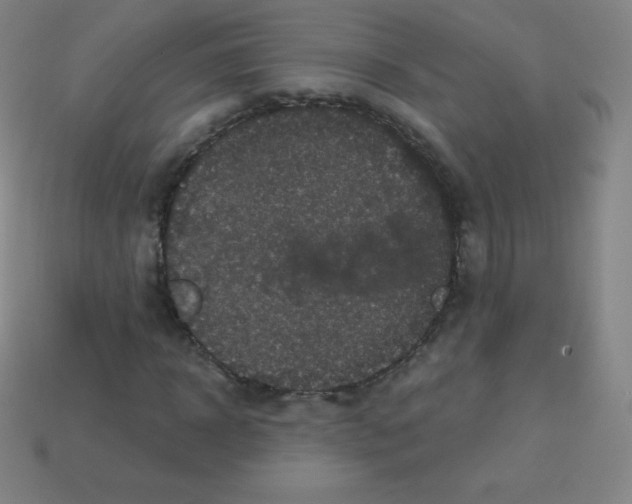 X0000113100918200910091136