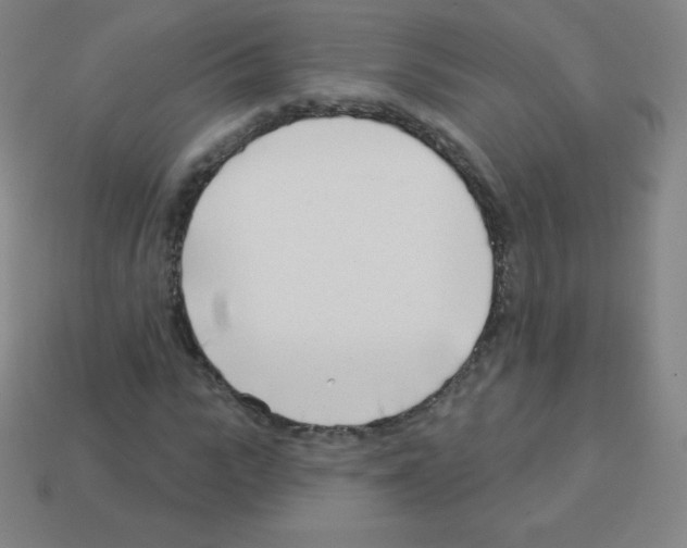 X0000113100919200910091136