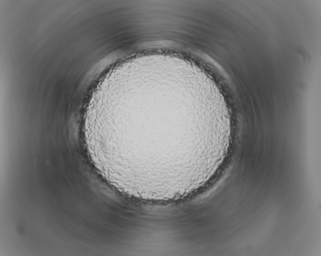 X0000113100921200910091136