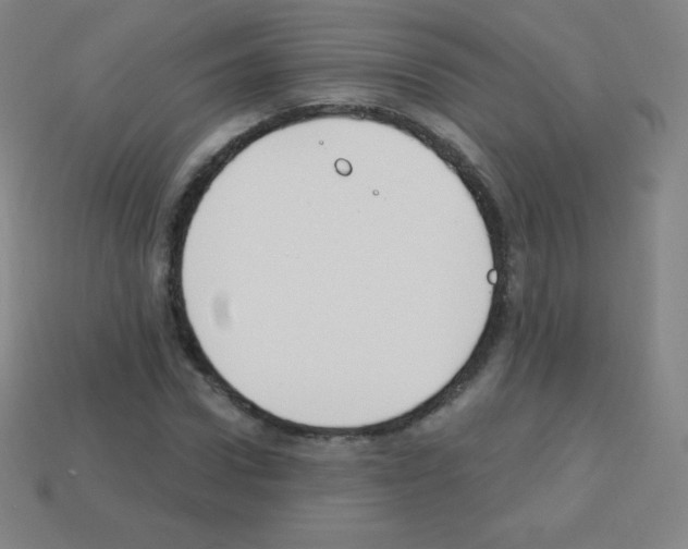 X0000113100922200910091136