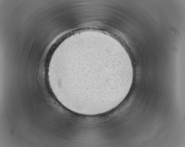 X0000113100923200910091136