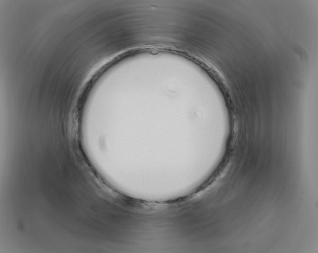 X0000113100925200910091136