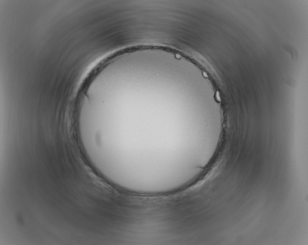 X0000113100926200910091136