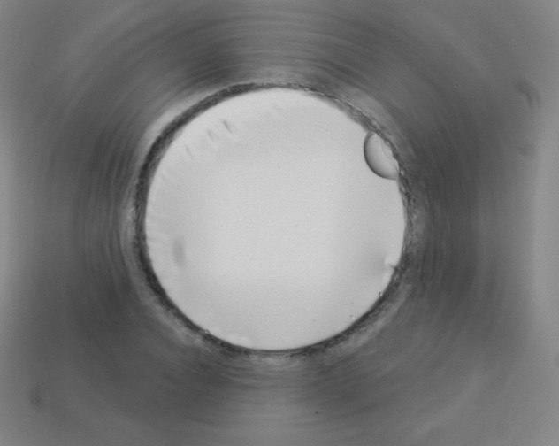 X0000113100928200910091136