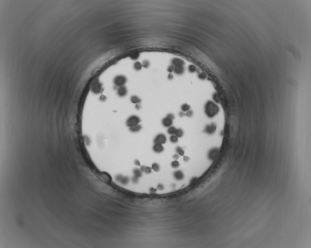 X0000113100930200910091136