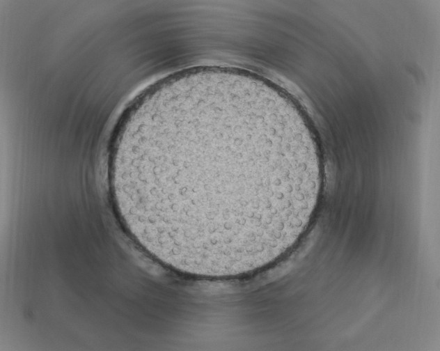 X0000113100931200910091136