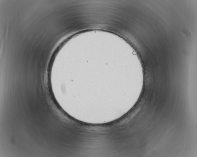 X0000113100932200910091136