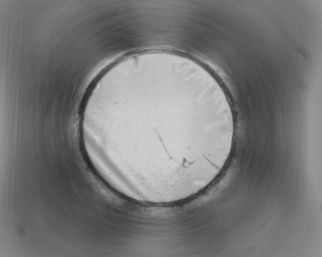 X0000113100933200910091136