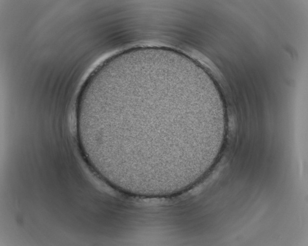 X0000113100934200910091136