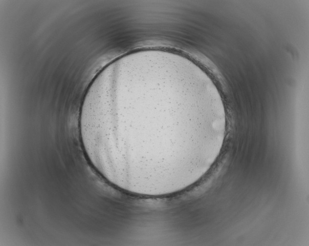 X0000113100937200910091136