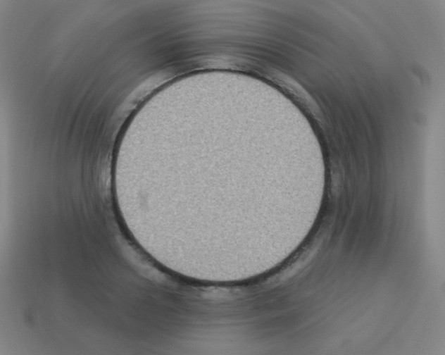 X0000113100938200910091136