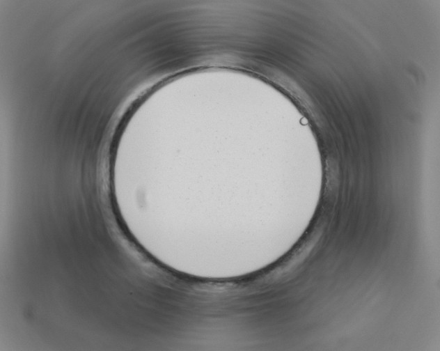 X0000113100939200910091136