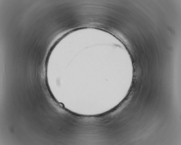X0000113100940200910091136