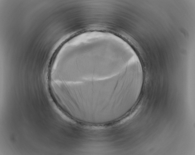 X0000113100941200910091136