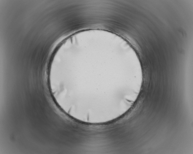 X0000113100944200910091136