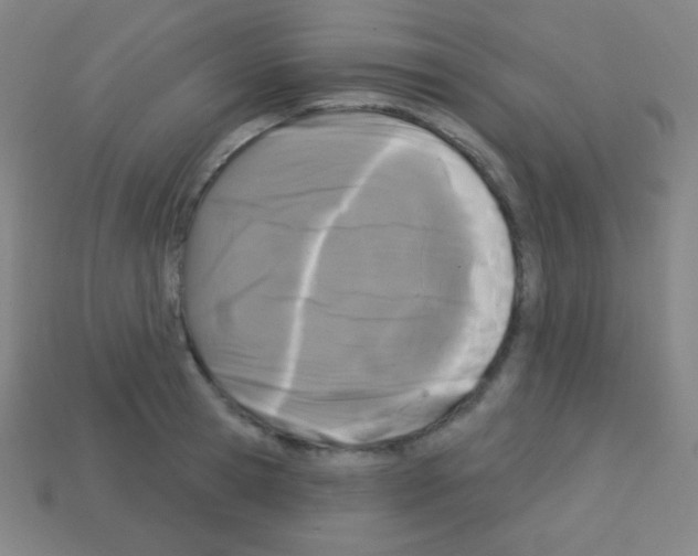 X0000113100945200910091136