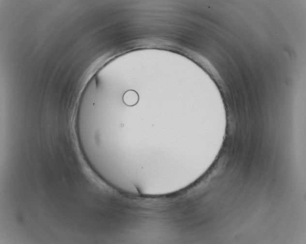 X0000113100946200910091136
