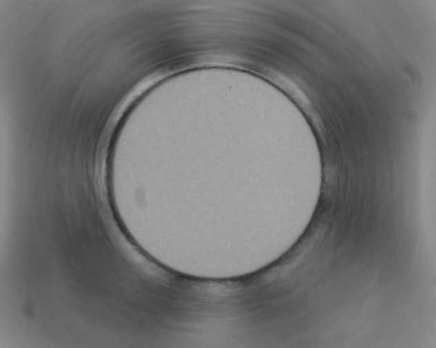 X0000113100947200910091136