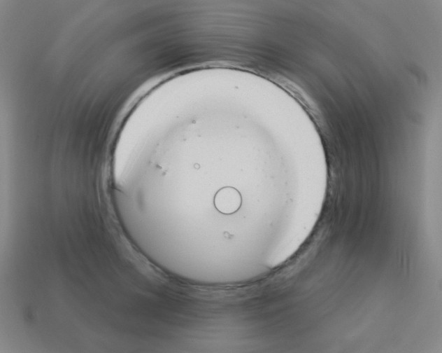X0000113100948200910091136