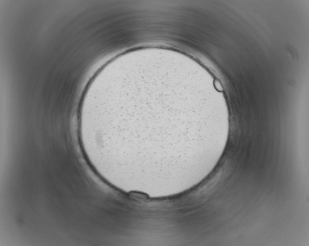 X0000113100951200910091136