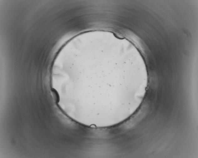 X0000113100952200910091136