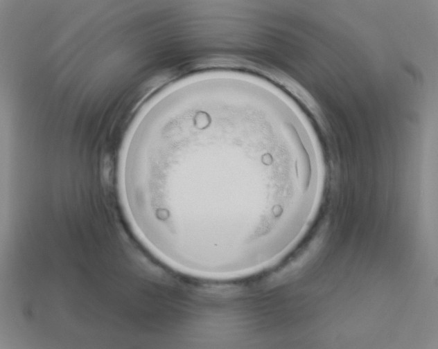 X0000113100953200910091136