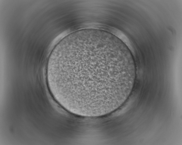 X0000113100954200910091136