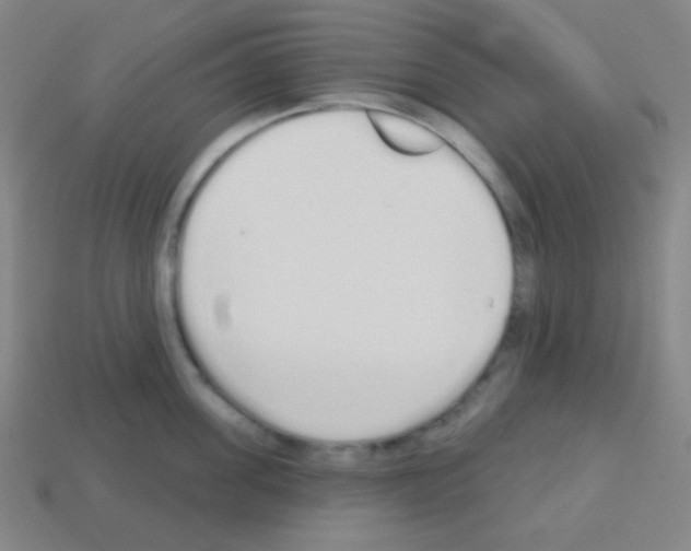 X0000113100955200910091137